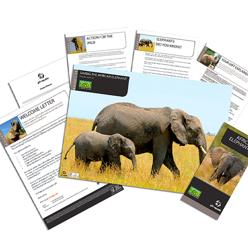 Adopt an Elephant Adopt an Elephant